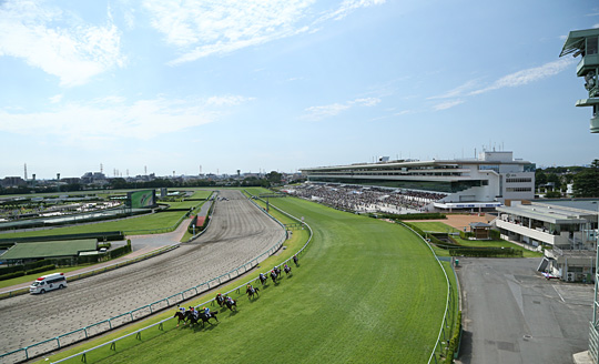 中山競馬場